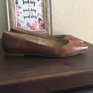 Seychelles Flats Sz 6